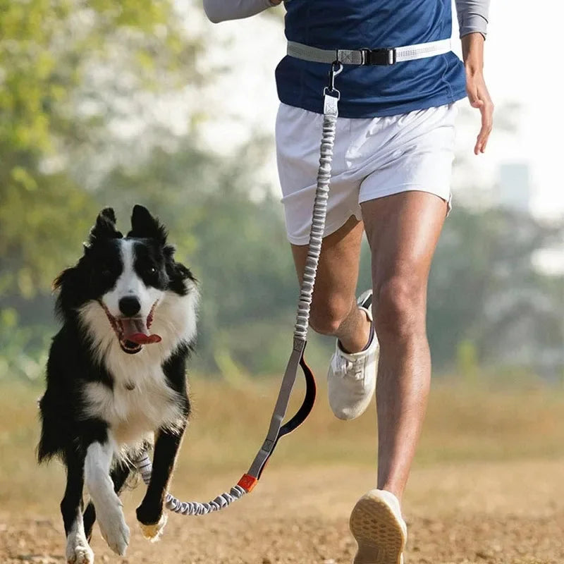 Guia retrátil ajustável mãos livres para cães | Ideal para corridas e caminhadas